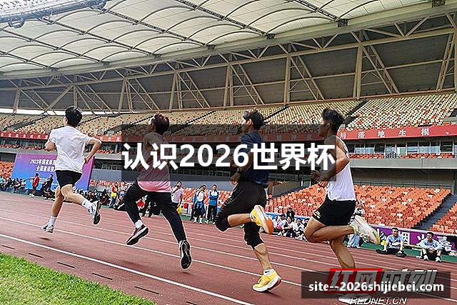 认识2026世界杯